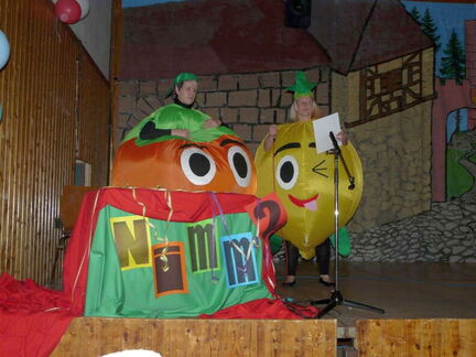Fasnacht 2011-2012-28