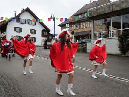 Fasnacht 2013-2014-07