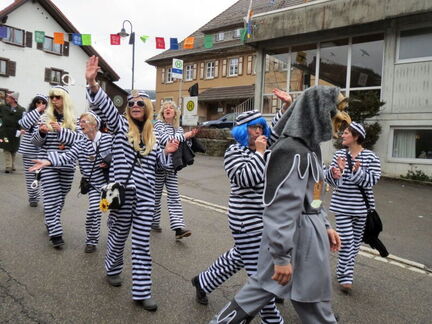 Fasnacht 2013-2014-11