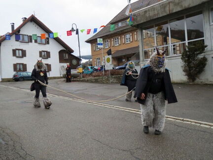 Fasnacht 2013-2014-16