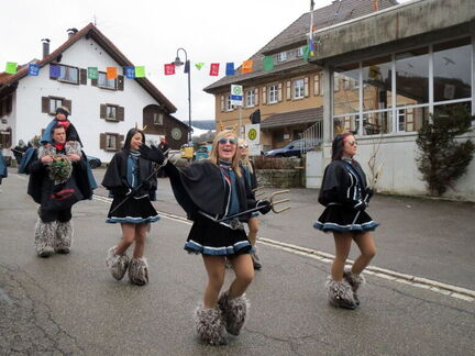 Fasnacht 2013-2014-14