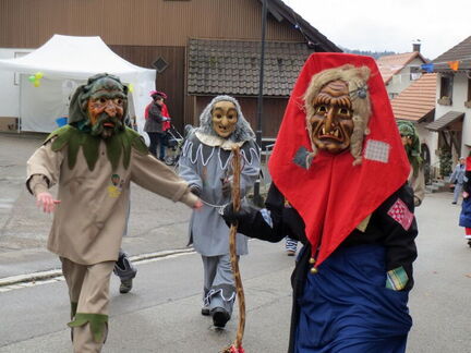 Fasnacht 2013-2014-25