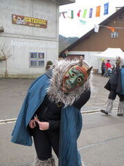 Fasnacht 2013-2014-29